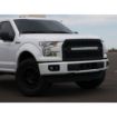 Picture of 15-16 Ford F-150 Dual Fog Mount D-Series Pro RIGID Industries